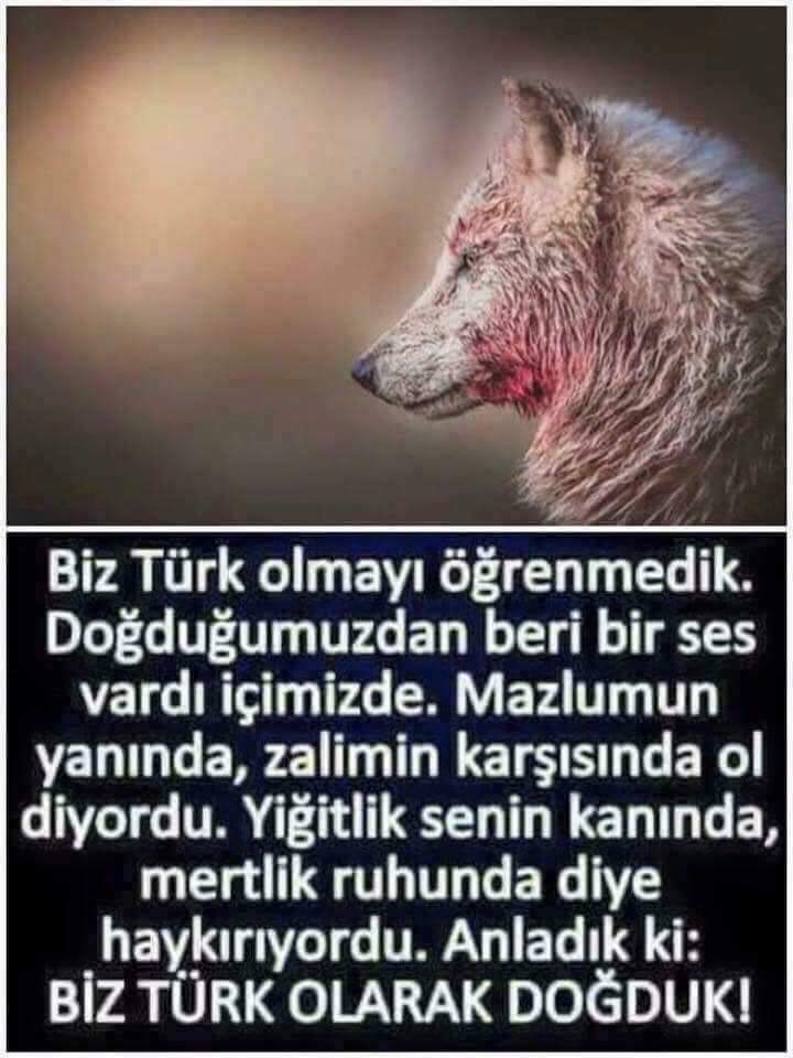 TÜRK İRADESİ