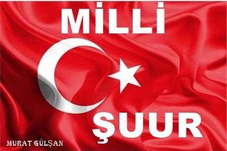 MİLLİ ŞUUR