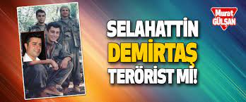 Selahattin Demirtaş terörist mi?