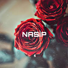 NASİBULLAH DAİRESİ.